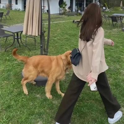 妖精弗洛伦斯